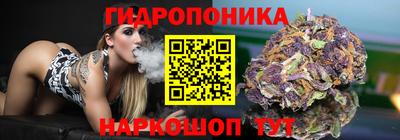 МДПВ Волжск