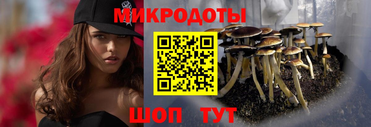 Мурманск  Галлюциногенные грибы Cubensis  Вход с VPN 